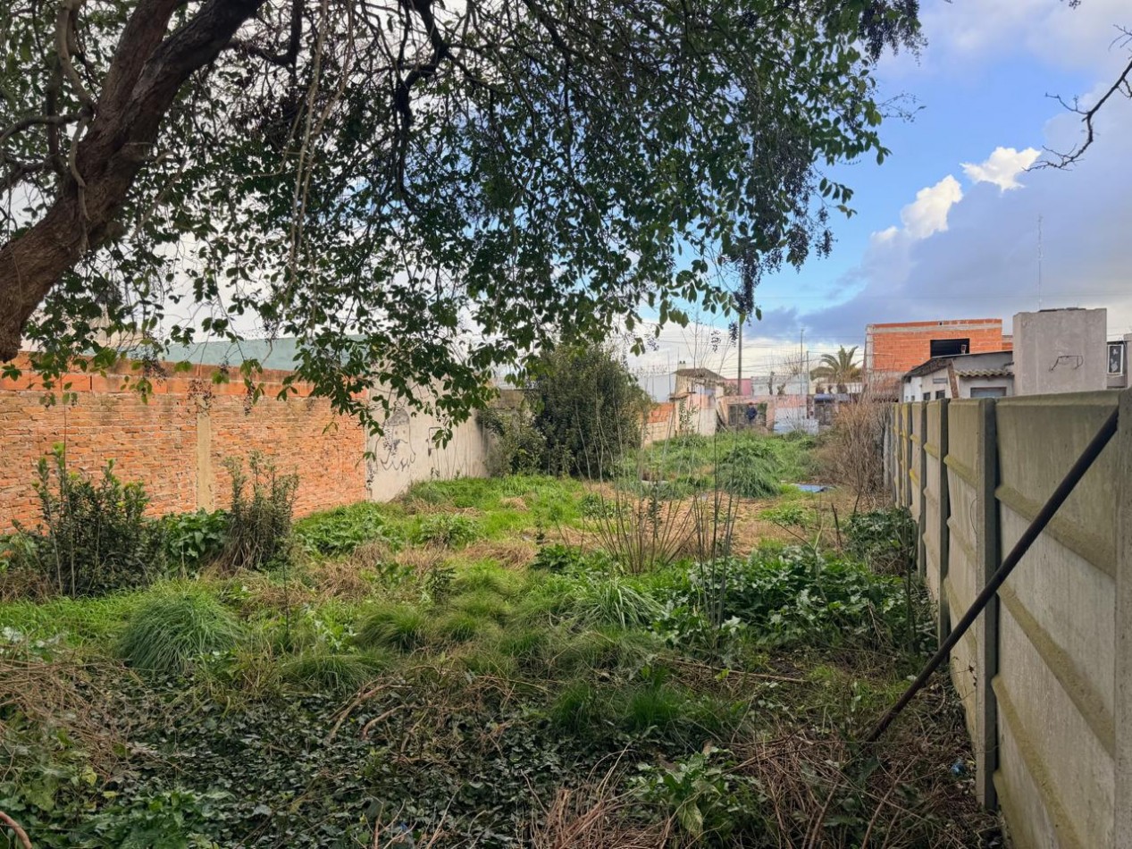 Lote en Venta - Maipu 